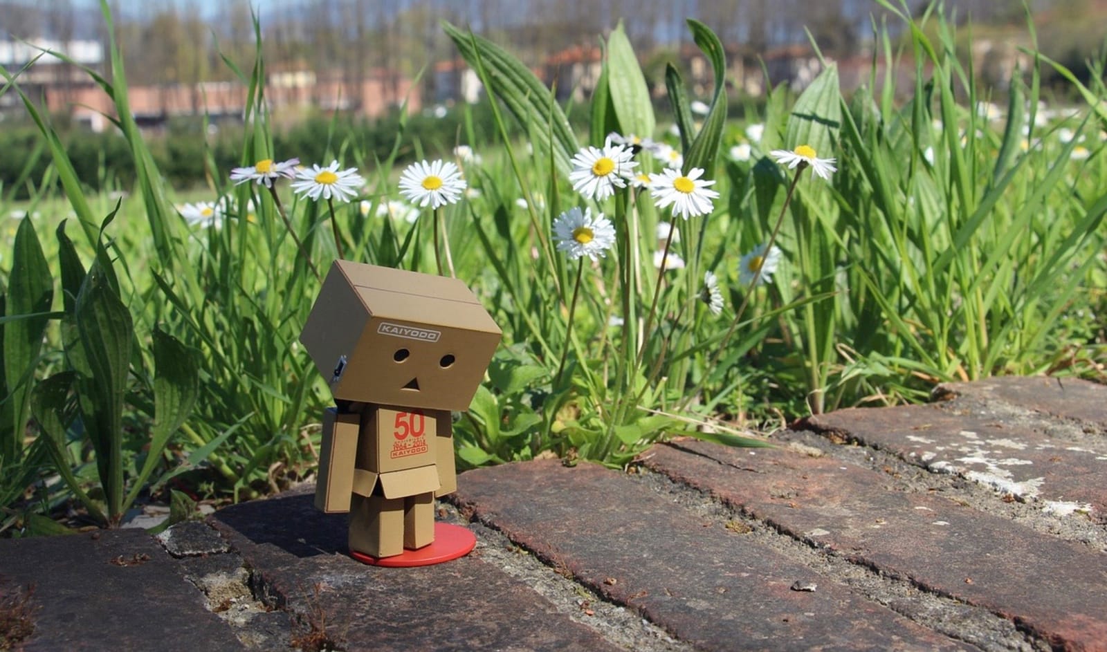 FREE: Why AI Feels Broken (And Why It's Not Your Fault)