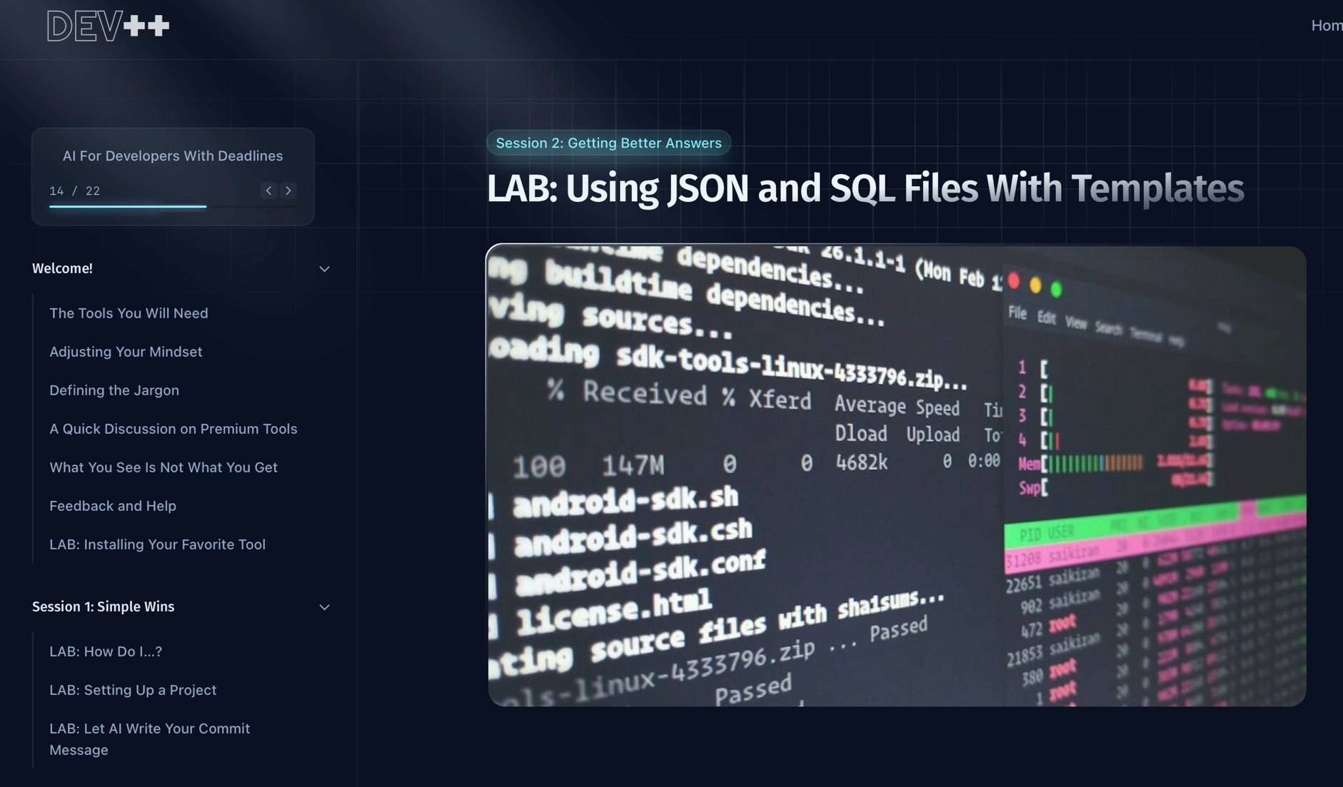 🦋 Following the Fun